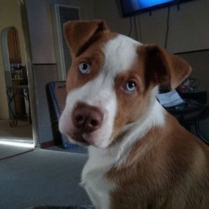 Meet your Posher, Larry